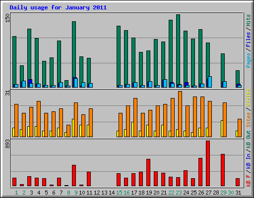 Daily usage for January 2011